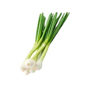 Spring Onion