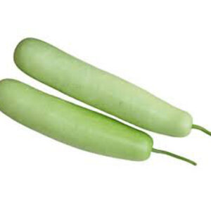 Bottle Guard ( Dudhi)