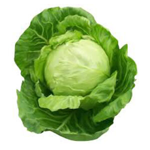 White Cabbage 1pc