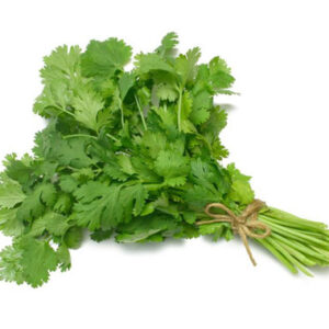 Coriander