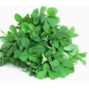 Fenugreek (Methi)