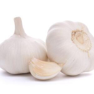 Garlic