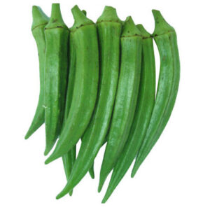 Okra (Bhendi)