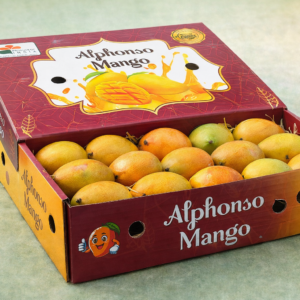 Alphanso Mango (12pc)