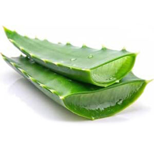 Aloevera