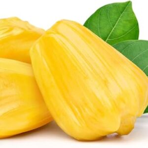 Jackfruit