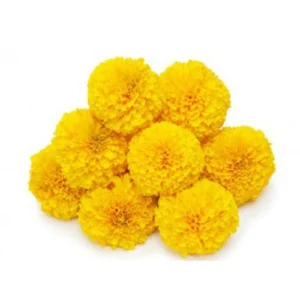 Marigold Yellow